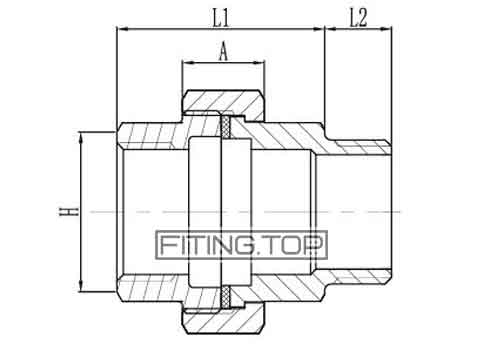 американка нержавеющая с наружной резьбой AISI 304 в Украине