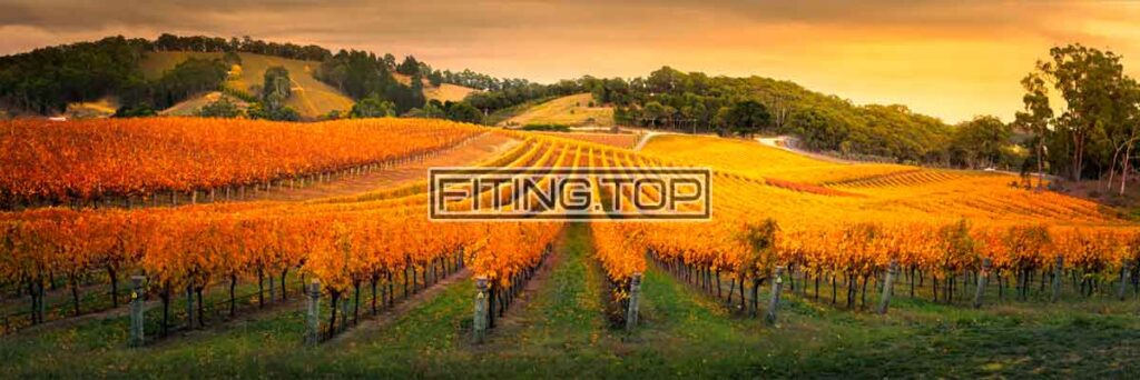 нержавеющий фитинг для винодельни