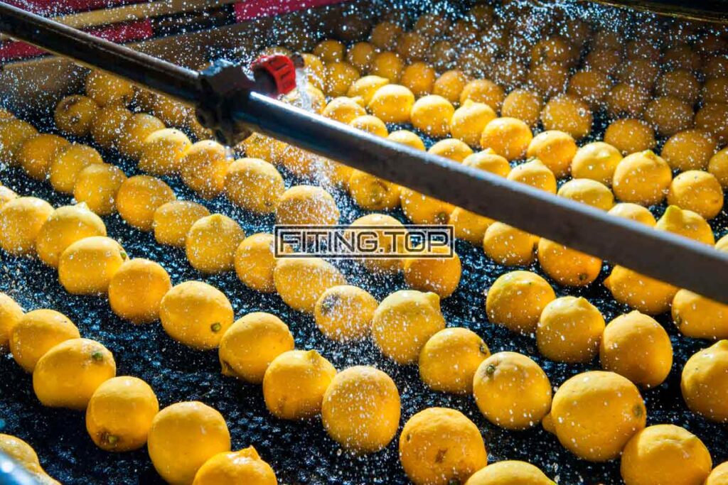 Что такое санитарные пищевые шланги: Основные аспекты безопасности и применения